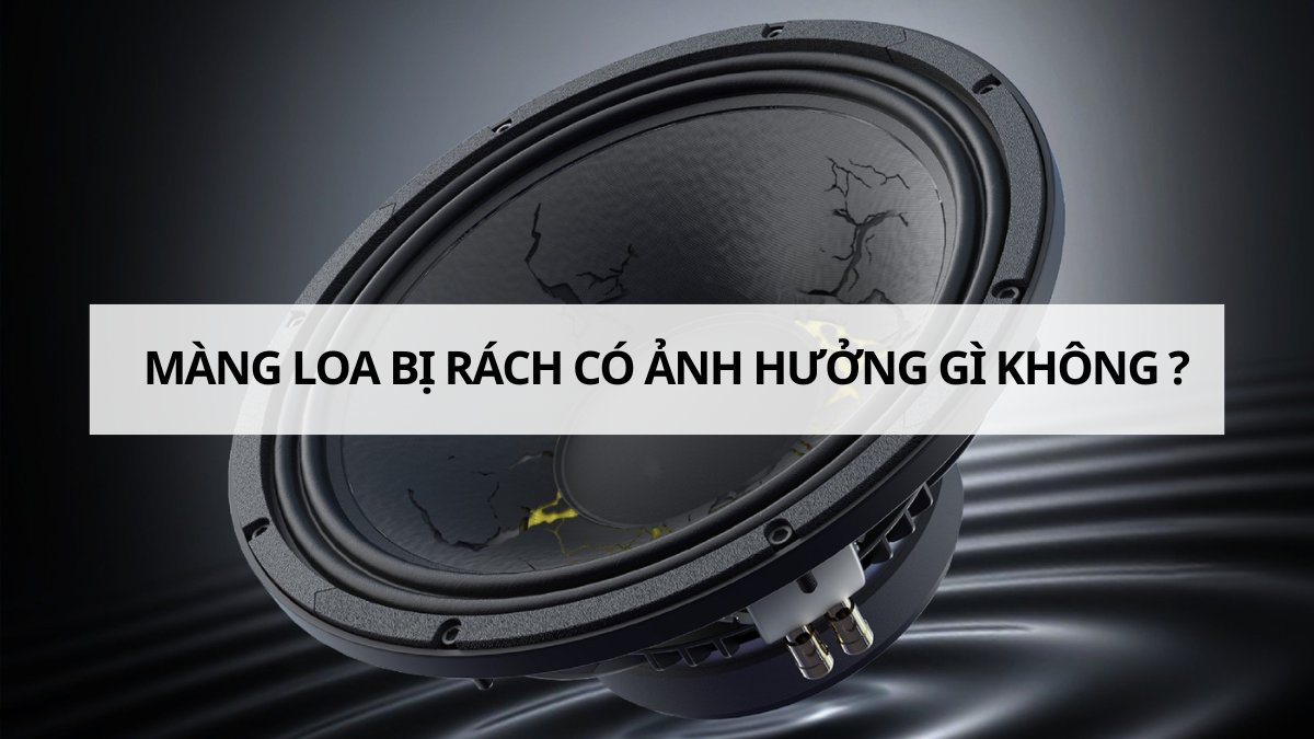 Màng loa bị rách có ảnh hưởng gì không? Cách xử lý và lưu ý
